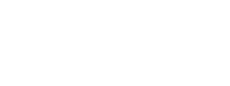CALLS